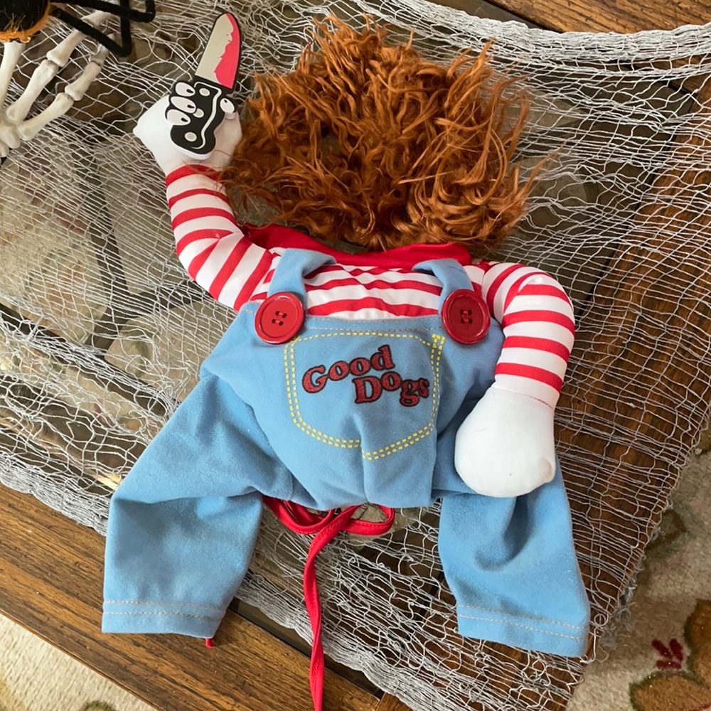 Pet Child’s Play costume